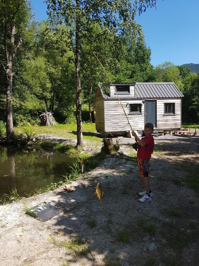 Insolite Tiny House Serenite Bien Etre Ban-sur-Meurthe-Clefcy Exterior photo