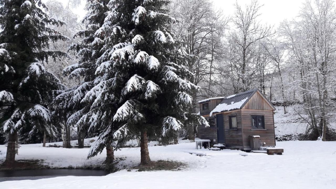 Insolite Tiny House Serenite Bien Etre Ban-sur-Meurthe-Clefcy Exterior photo